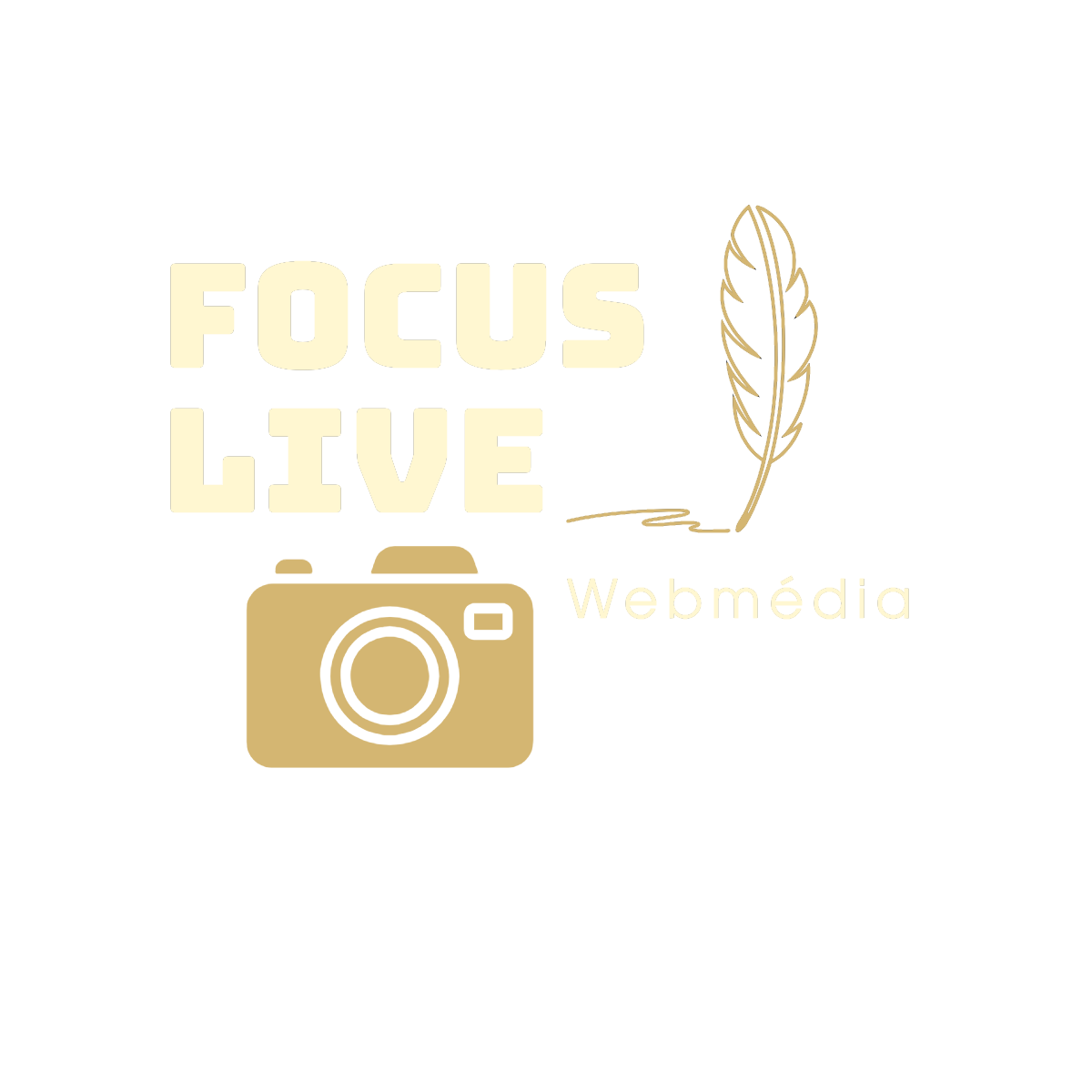 Solifestival | Festival Reggae / Dub & Solidaire en Deux-Sèvres, 79 , 2018, 2019, 2020, 2021, 2022, 2023, 2024, 2025, 2026, festival de musique, festival dub,artiste,, concert, festival, scène, dj, batterie, basse, guitare ,clavier, trompette